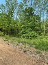 Arabian Drive, Rogers, AR 72756 - #1