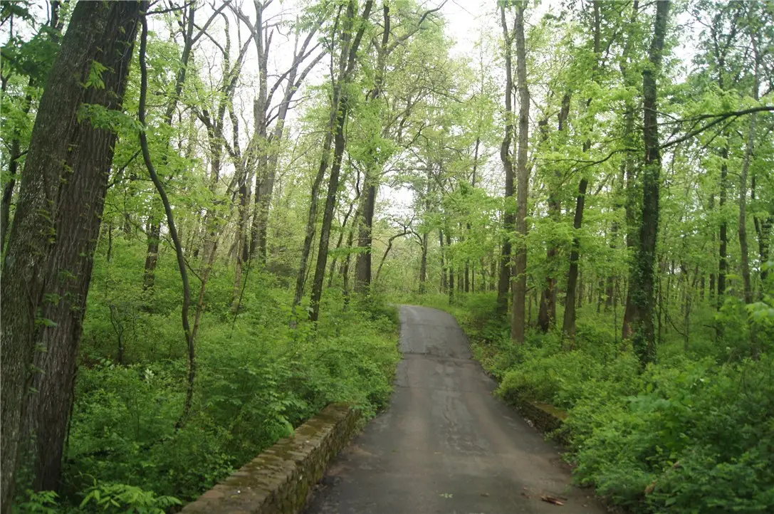 224 Kayla, Rogers, AR 72756 - #1