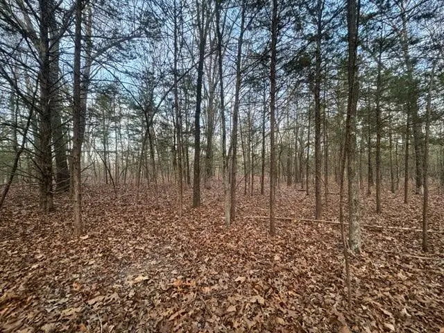 TBD Locust Road, Peel, AR 72668 - #3