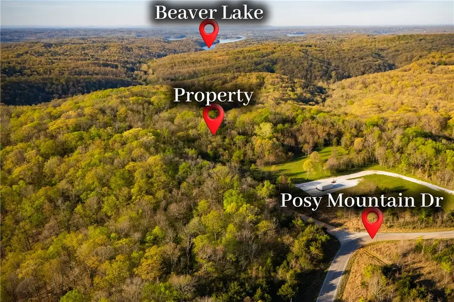 Huckleberry Circle, Rogers, AR 72732 - #2