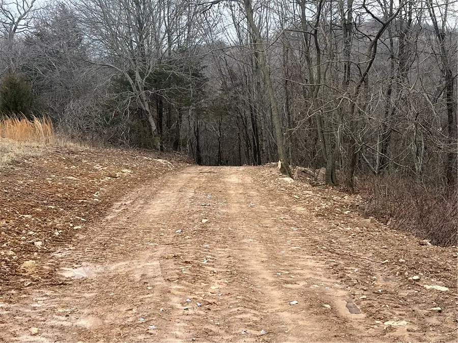 Madison County Road 6124, Elkins, AR 72727 - #2