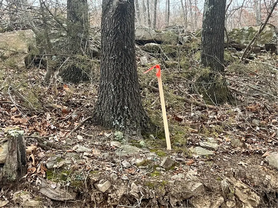 Madison County Road 6124, Elkins, AR 72727 - #3