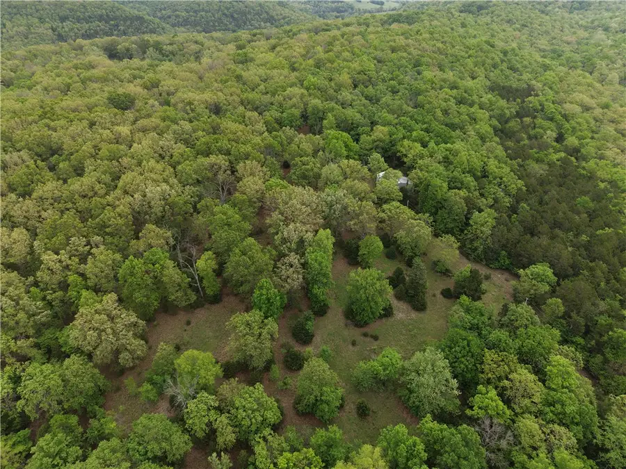 2465 Denton Ferry Road, Whiteville, AR 72726 - #3