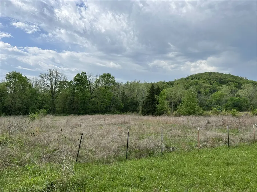 Cedar Grove Road, Lead Hill, AR 72644 - #2