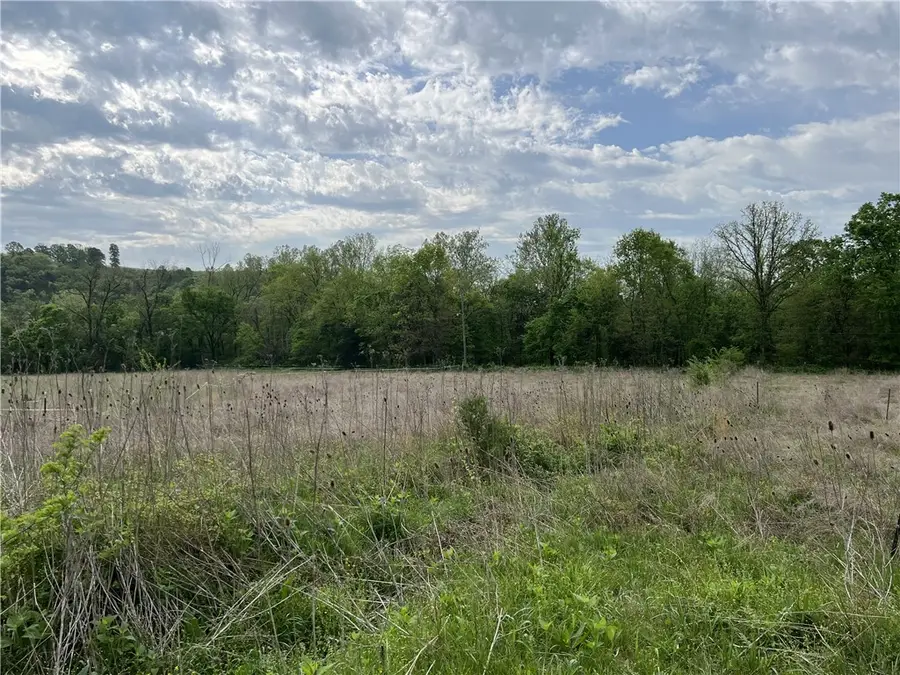 Cedar Grove Road, Lead Hill, AR 72644 - #3