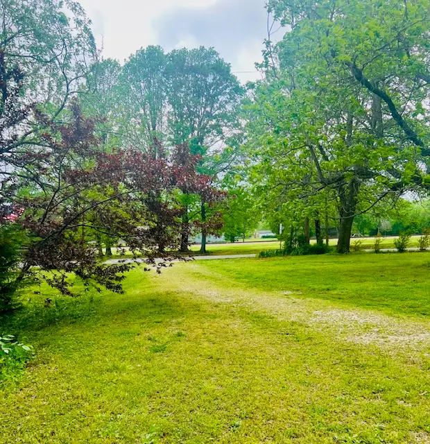 162 Maple Avenue, West Fork, AR 72774 - #2