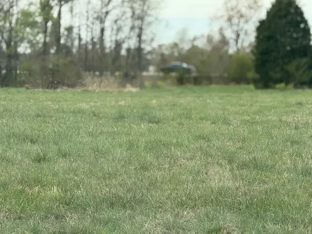 151 Gary Lane, Russellville, AR 72802 - #2