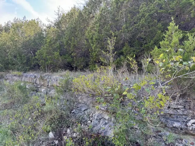 268 Table Rock Drive, Holiday Island, AR 72631 - #3