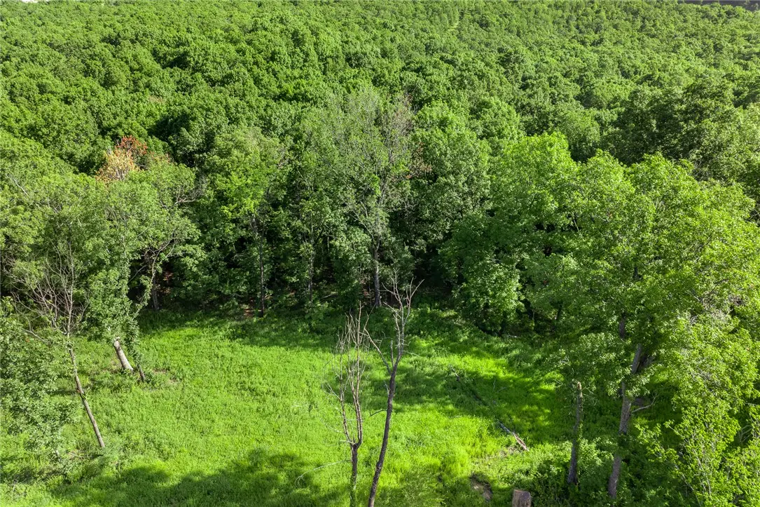 Lot 89 Restore Circle, Harrison, AR 72601 - #1