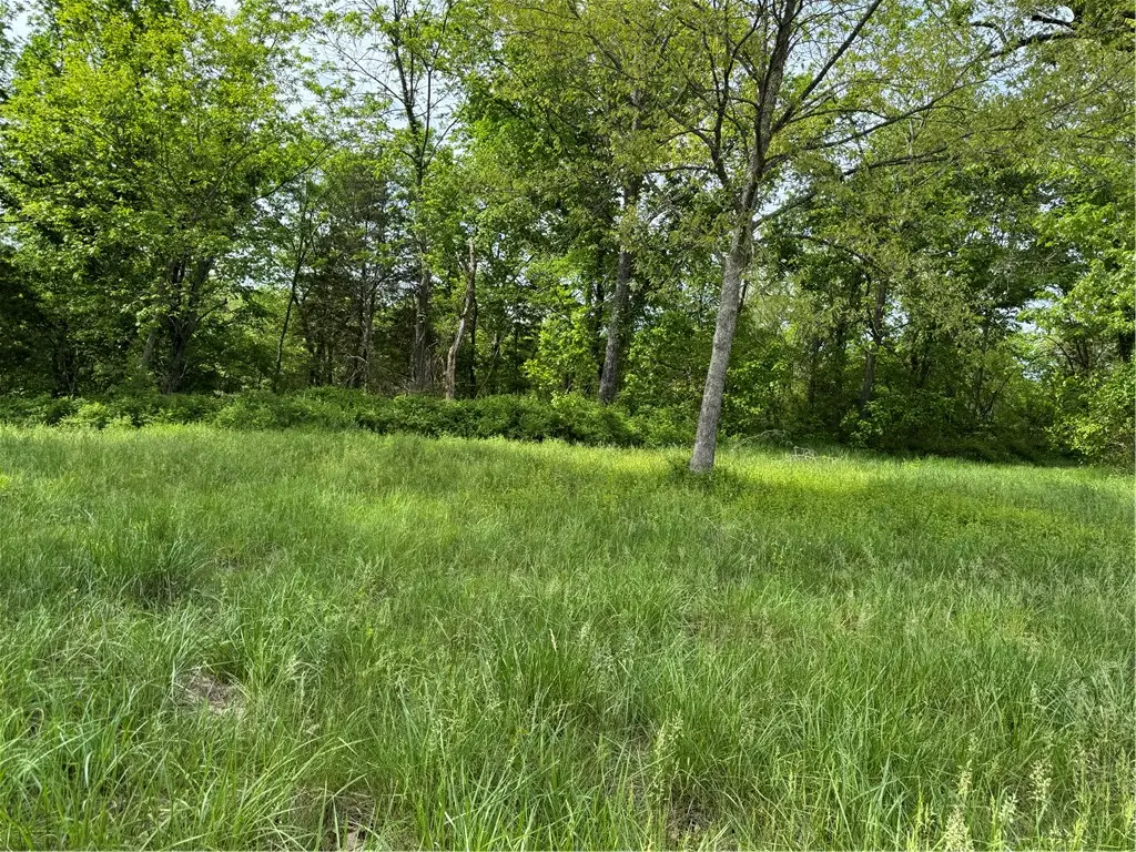 Hwy 14/mcvey, Lead Hill, AR 72644 - #1