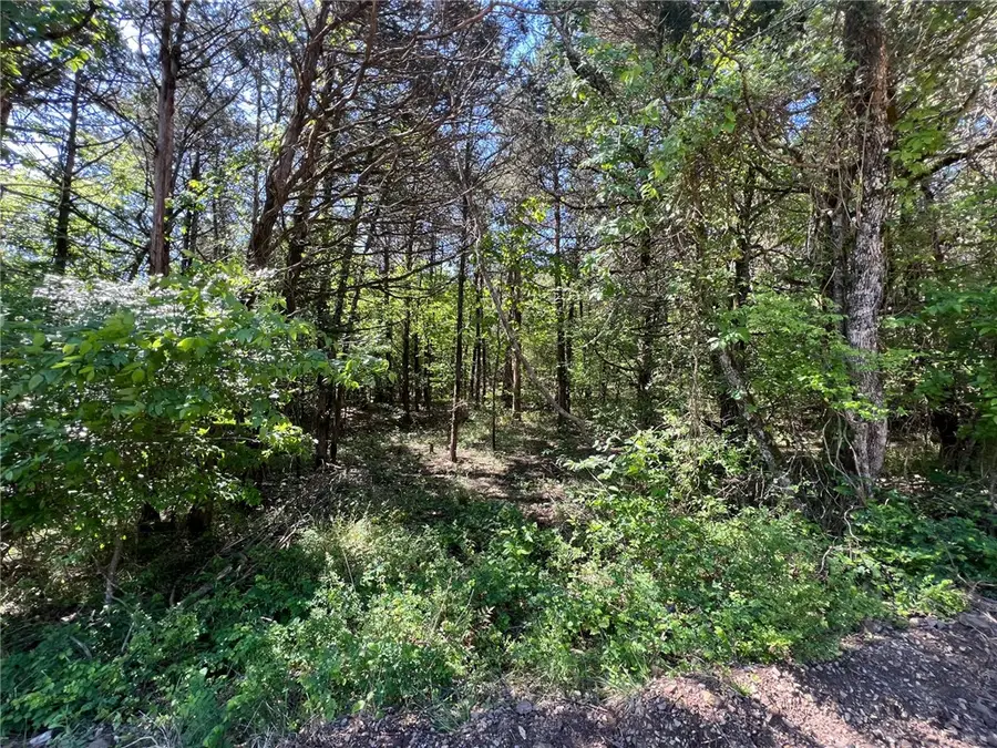 TBD Valleyview, Diamond City, AR 72644 - #3