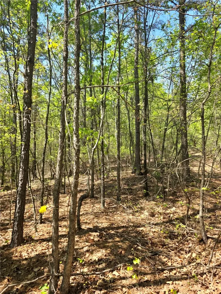Fsr 1471, Clarksville, AR 72830 - #3