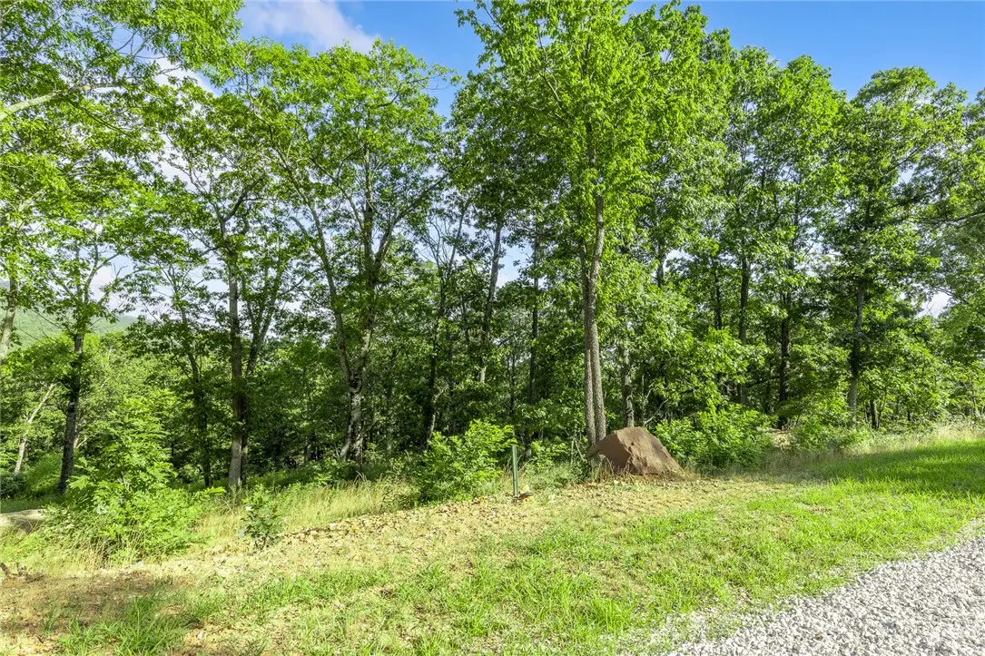 Lot 85 Restore Ridge, Harrison, AR 72601 - #1