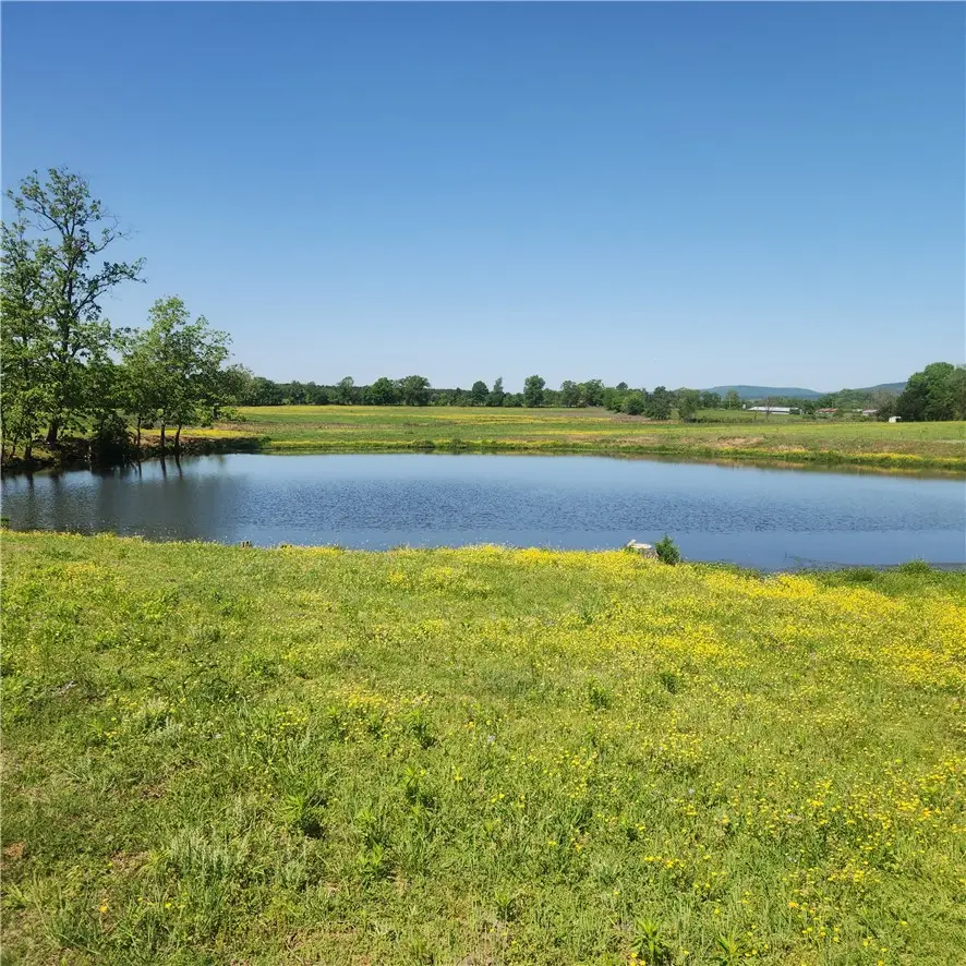 933 Walnut Road, Hector, AR 72843 - #1