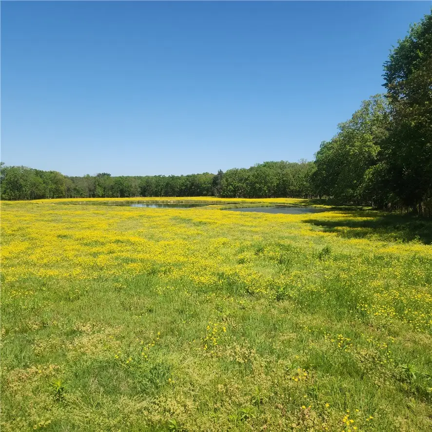 933 Walnut Road, Hector, AR 72843 - #2