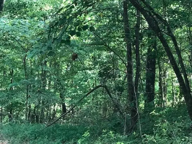 Lot 11 Block 2 Heanor Lane, Bella Vista, AR 72714 - #3