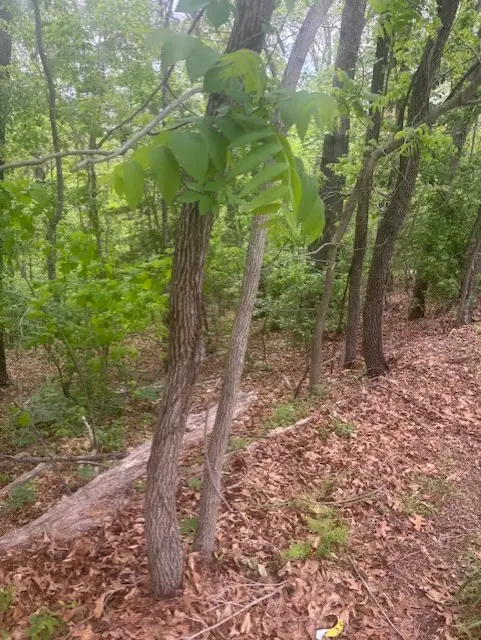 Lot 8 Deddington Drive, Bella Vista, AR 72714 - #1