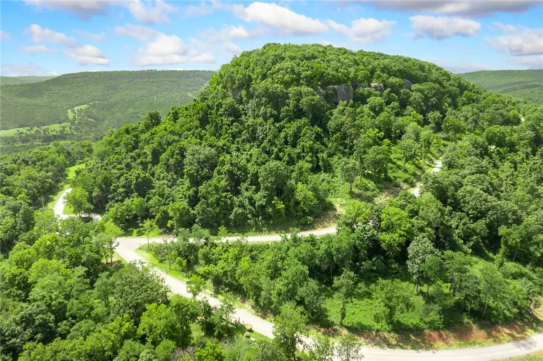 Lot 14 Peaceful Place, Harrison, AR 72601 - #1