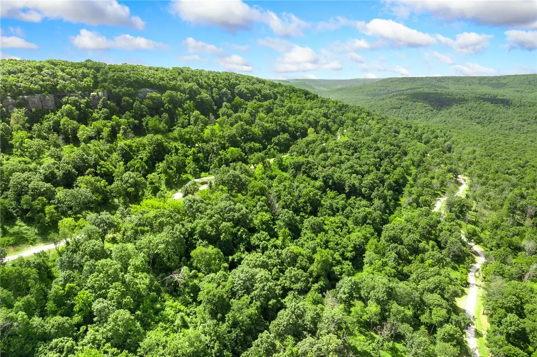 Lot 9 Peaceful Place, Harrison, AR 72601 - #1