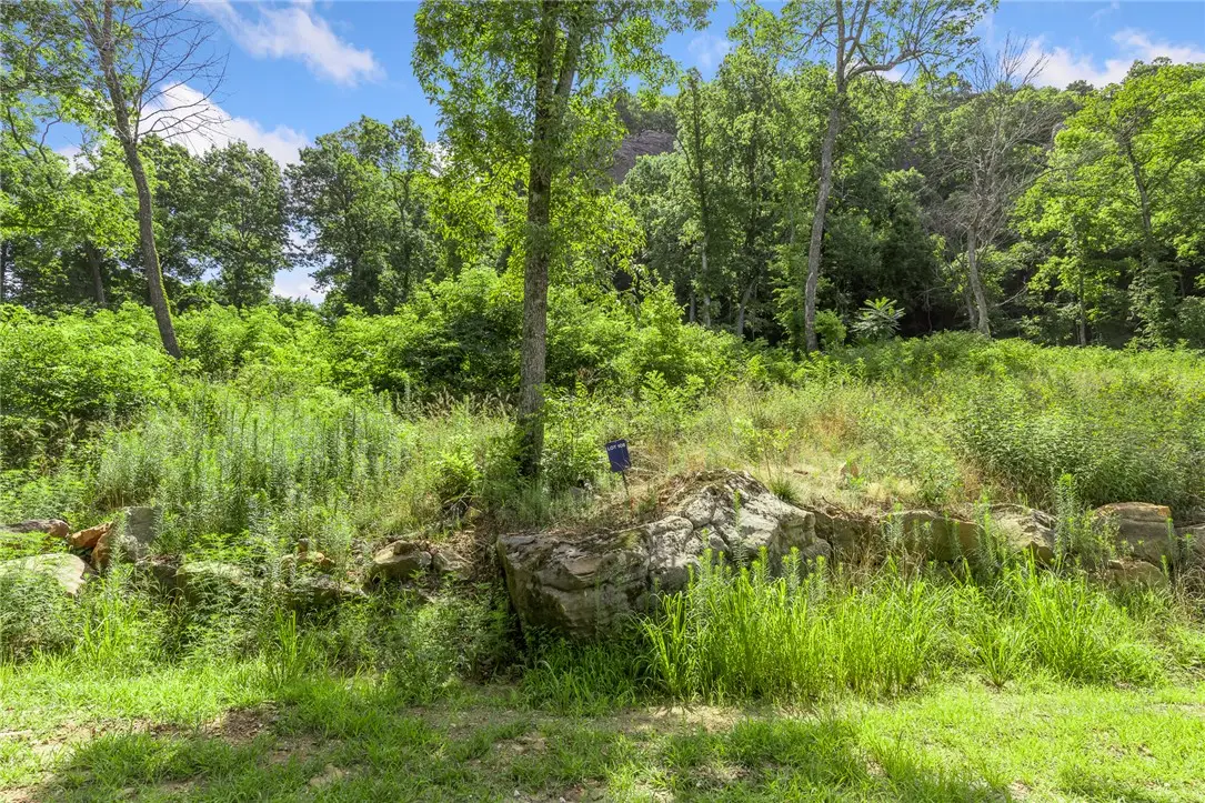 108 Significance Summit, Harrison, AR 72601 - #1