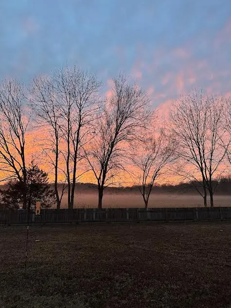 2871 Colton Cove, Fayetteville, AR 72701 - #2