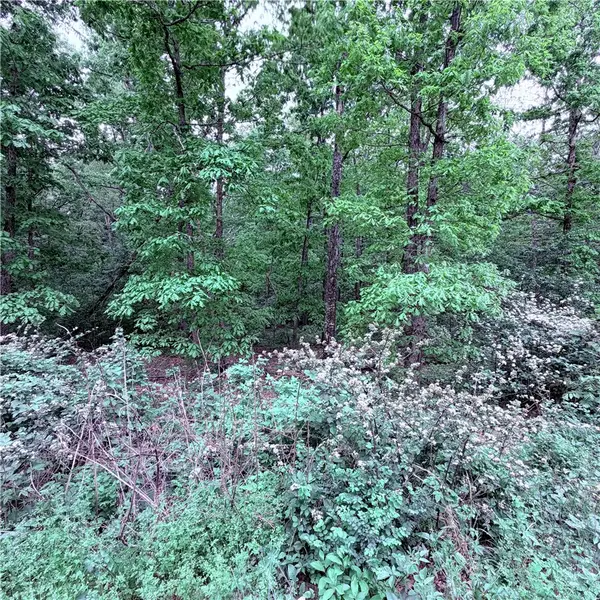 Lot 31 Dickenshire Drive, Bella Vista, AR 72714