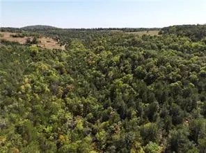 N/a Bear Bottom, Lead Hill, AR 72644 - #2