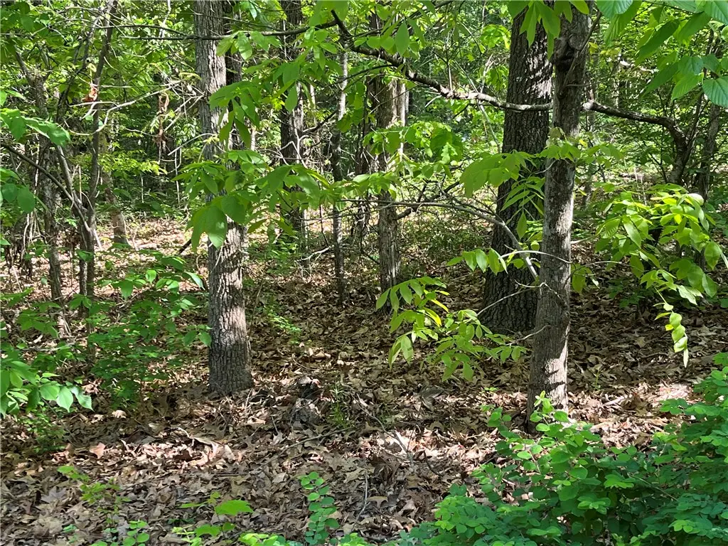 Lot 6 Block 8 Welland Lane, Bella Vista, AR 72715 - #1
