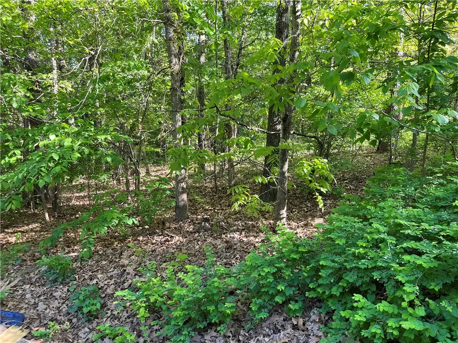 Lot 6 Block 8 Welland Lane, Bella Vista, AR 72715 - #2
