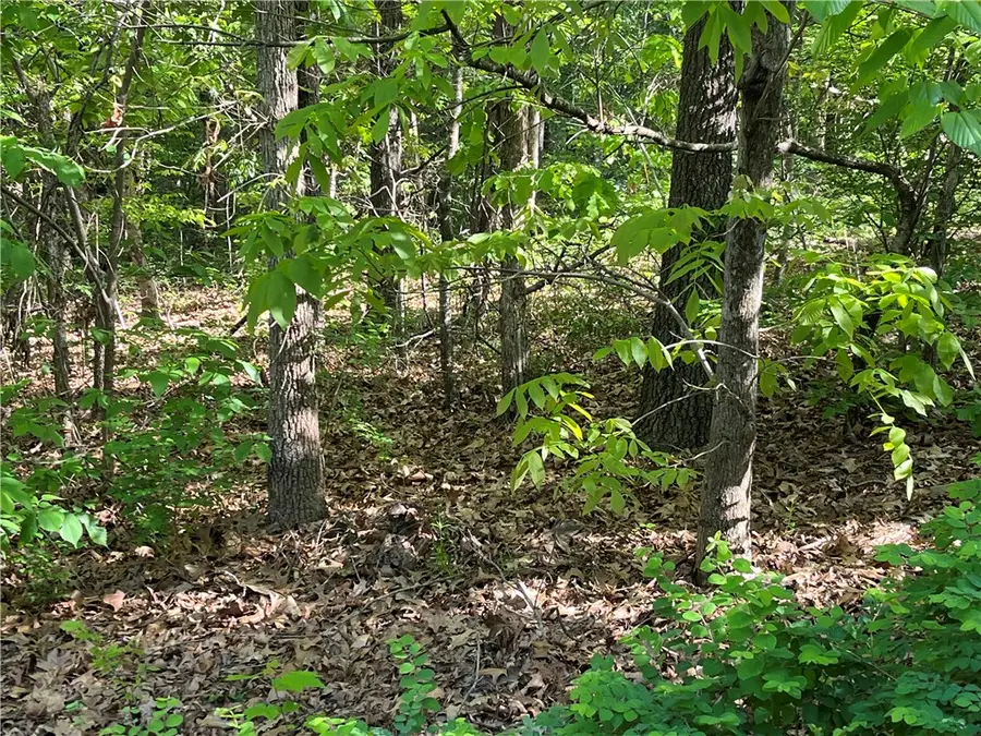 Lot 6 Block 8 Welland Lane, Bella Vista, AR 72715 - #3