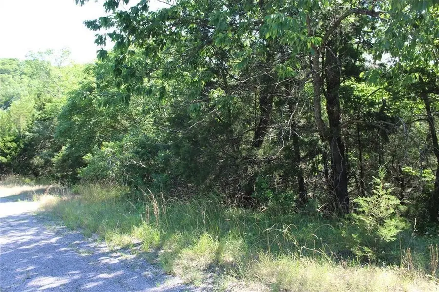 4 Beaver Circle, Holiday Island, AR 72631 - #2