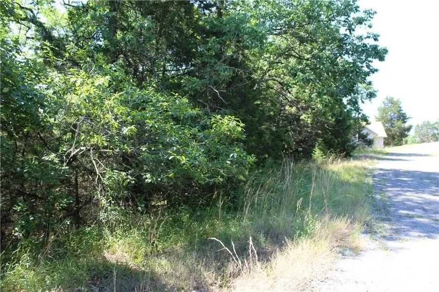 4 Beaver Circle, Holiday Island, AR 72631 - #3