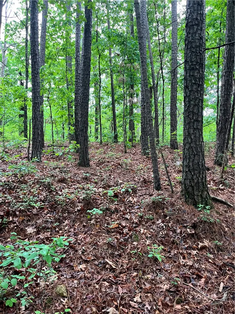 TBD Dunholme, Bella Vista, AR 72714 - #3