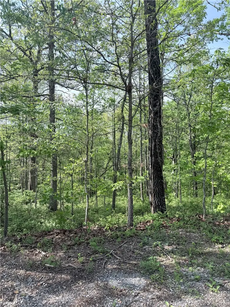 TBD Nantwich Circle, Bella Vista, AR 72714 - #1