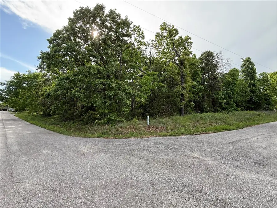 8 Soth Hills Loop, Holiday Island, AR 72631 - #2