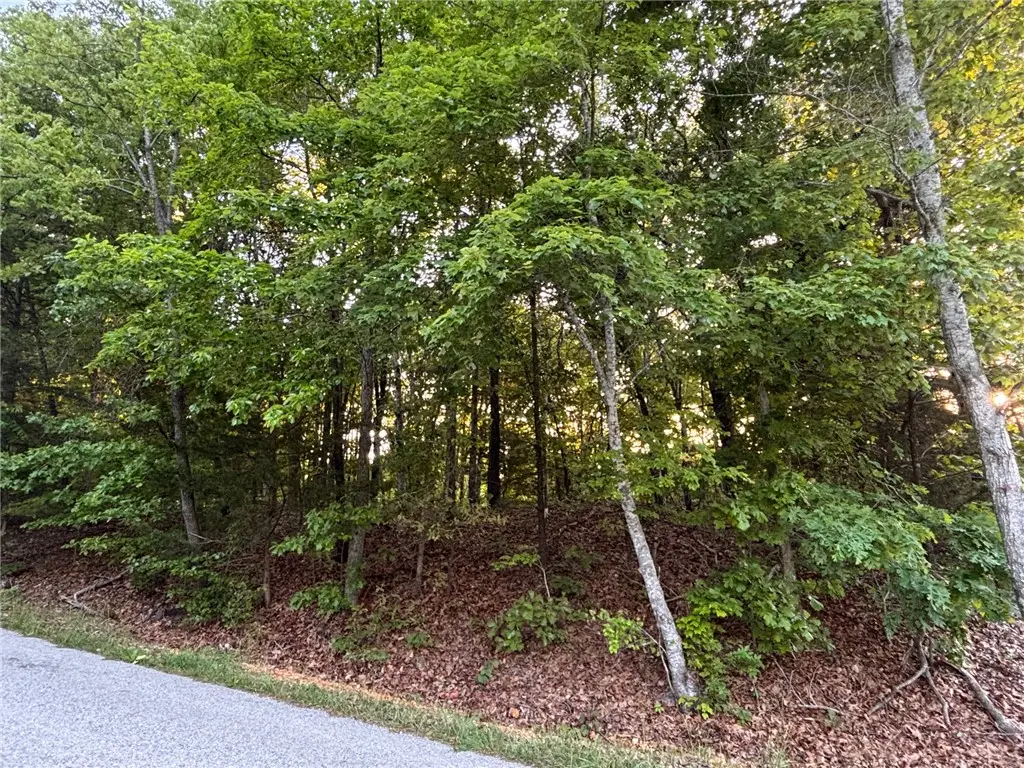 Elvendon Drive, Bella Vista, AR 72715 - #1