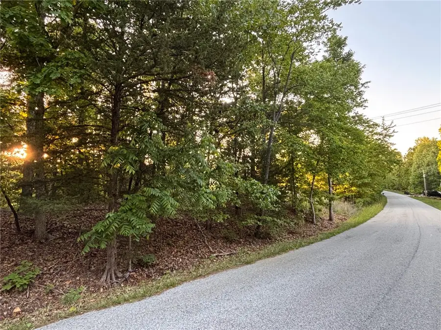 Elvendon Drive, Bella Vista, AR 72715 - #2