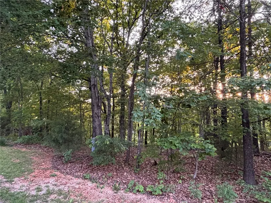 Elvendon Drive, Bella Vista, AR 72715 - #3