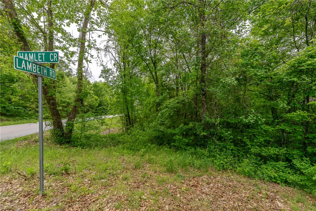 Lot 4 Lambeth Road & Hamlet Circle, Bella Vista, AR 72714 - #1