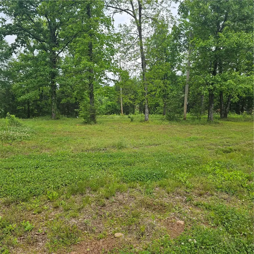 36059 Highway 164, Lamar, AR 72846 - #2