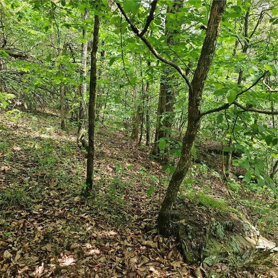 36059 Highway 164, Lamar, AR 72846 - #3