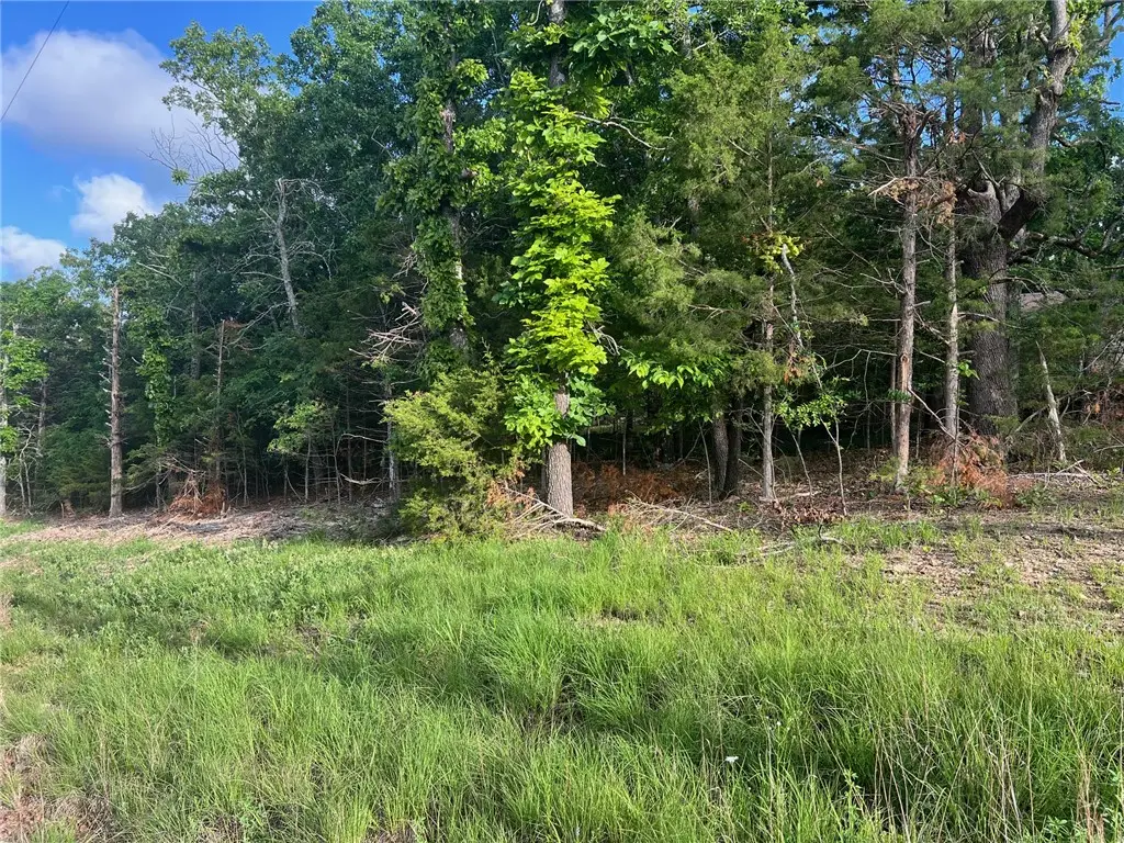 TBD Diamond Point Boulevard, Diamond City, AR 72630 - #1
