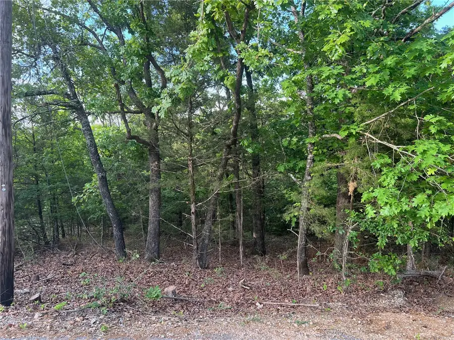 TBD Diamond Point Boulevard, Diamond City, AR 72630 - #3