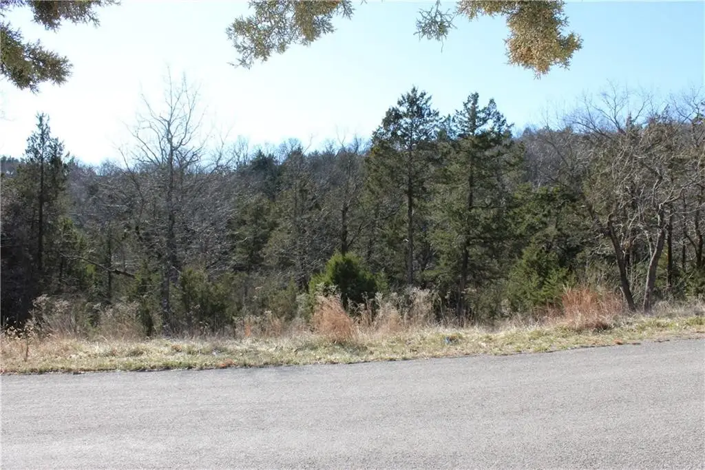 15 Deer Run Drive, Holiday Island, AR 72631 - #1