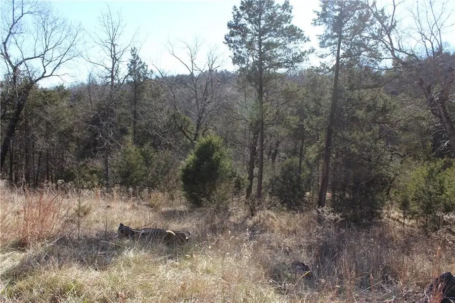 15 Deer Run Drive, Holiday Island, AR 72631 - #3