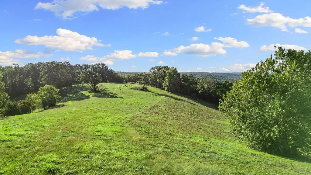 TBD Raven Road Tract C Road, Noel, MO 64854 - #1