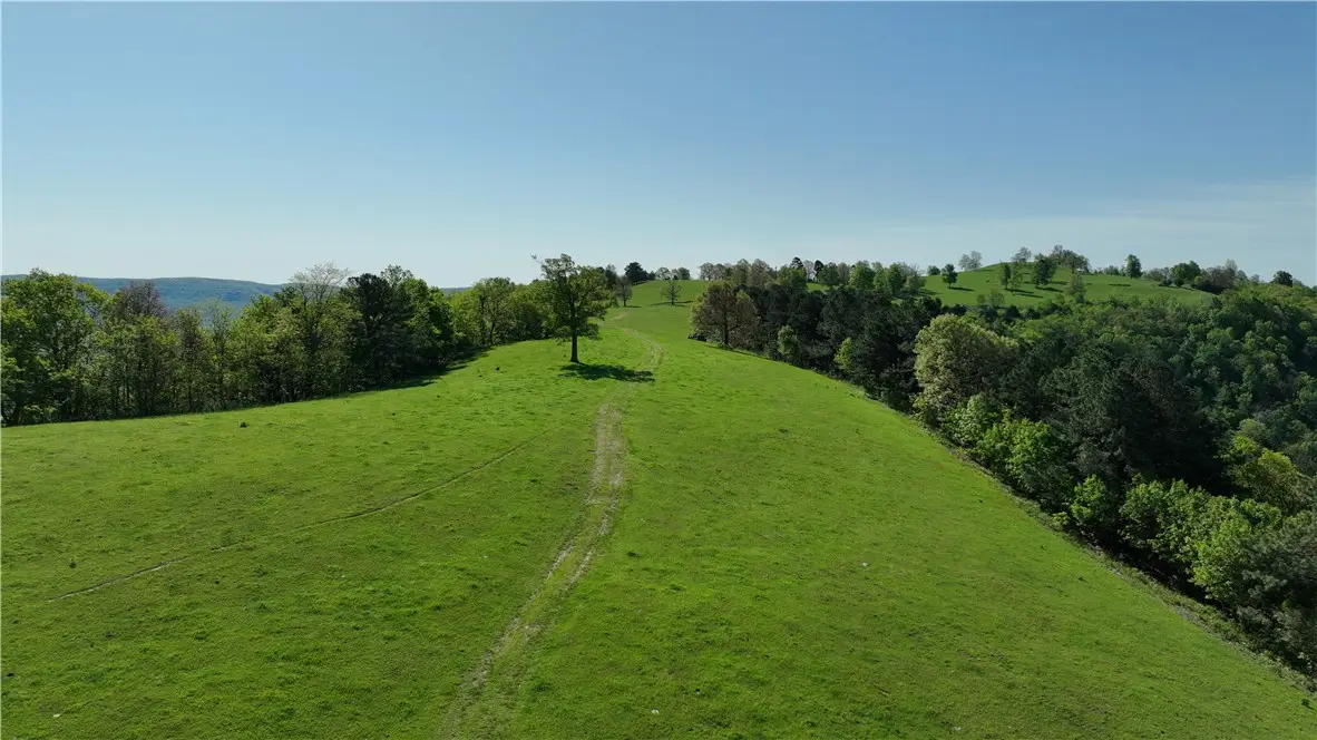 TBD Hwy 74, Mount Judea, AR 72655 - #1