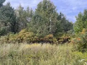 Crawford Street, Clarksville, AR 72830 - #3