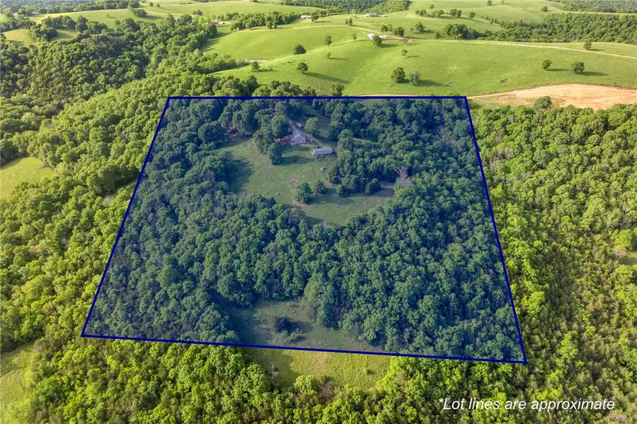345 Hope Creek Lane, Harrison, AR 72601 - #2