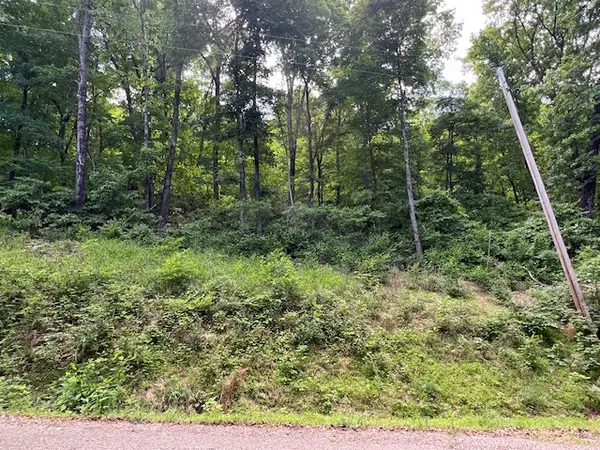 6 Wildcat Drive, Holiday Island, AR 72631